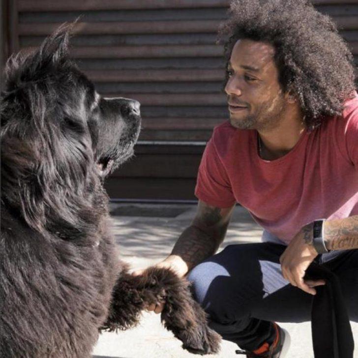 Balotelli yine yaptı yapacağını! Evinde beslediği hayvan... G4