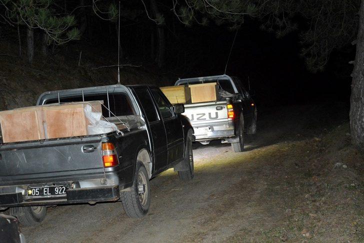 Amasya’nın akciğerlerini kırmızı karıncalar koruyacak G4