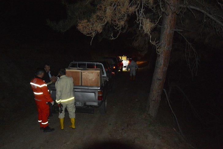 Amasya’nın akciğerlerini kırmızı karıncalar koruyacak G5