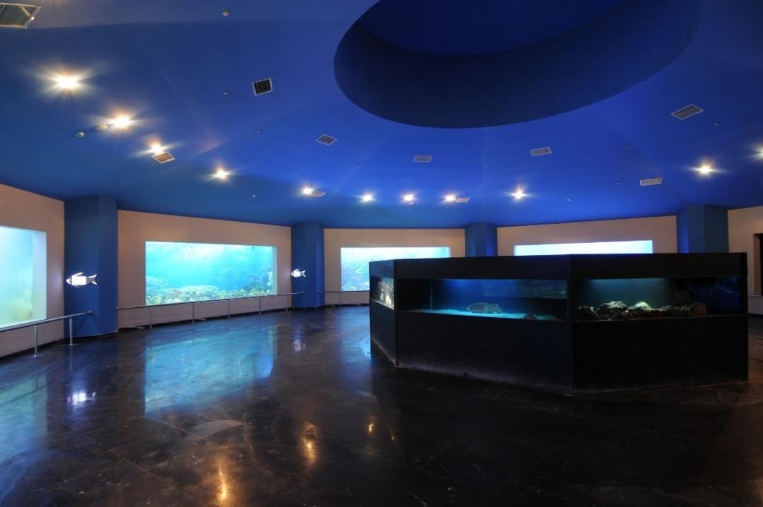 Altınok: "Deniz D&uuml;nyamız bir cazibe merkezidir"