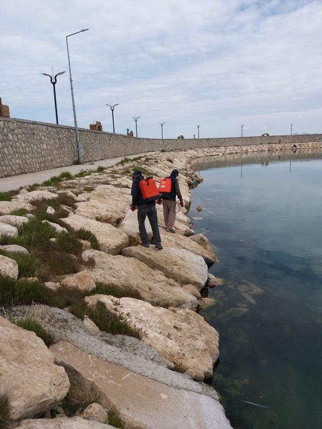 -Edremit Belediyesinden ilaçlama çalışması