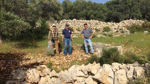 Kaş’ta flora ve fauna araştırması
