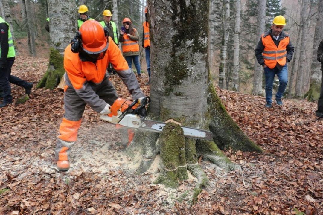 D&uuml;zce&lsquo;de ormanda tatbikat