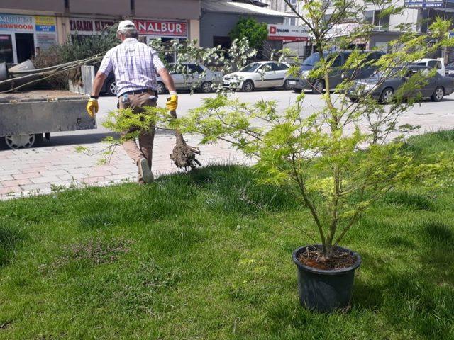 Doğu Türkistan parkı mis gibi kokacak