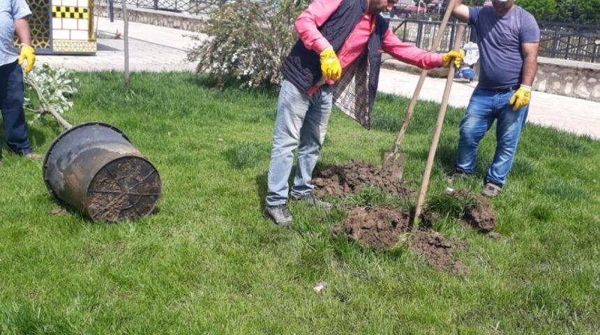 Doğu Türkistan parkı mis gibi kokacak