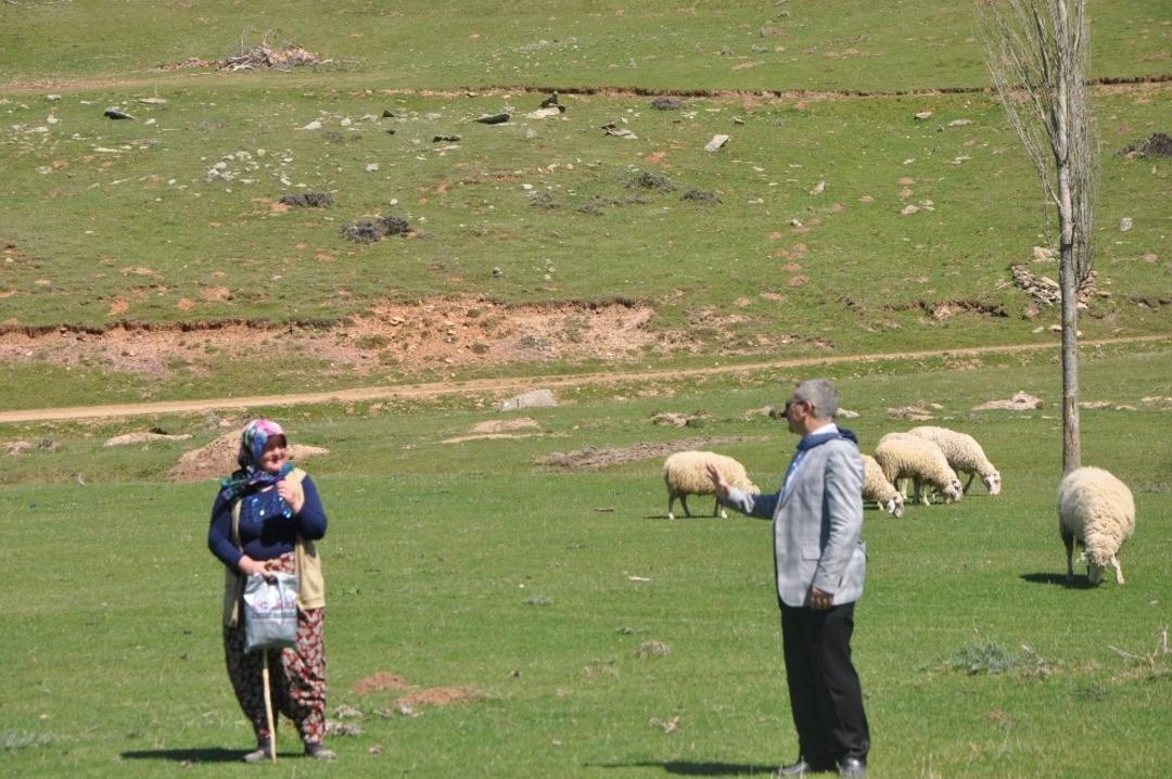 Mera ıslah &ccedil;alışmaları aralıksız devam ediyor