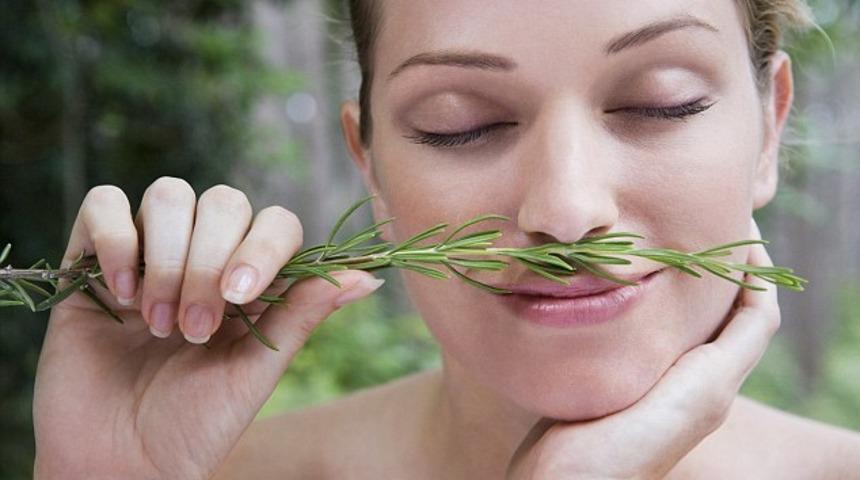 Bu Sır Çok Hoşunuza Gidecek: Bu Bitkiyi Koklamak Hafızayı Güçlendiriyor!