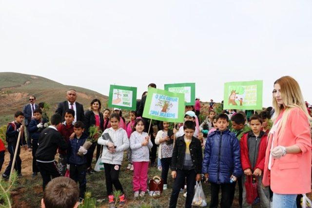 Her mezun için yeni bir fidan