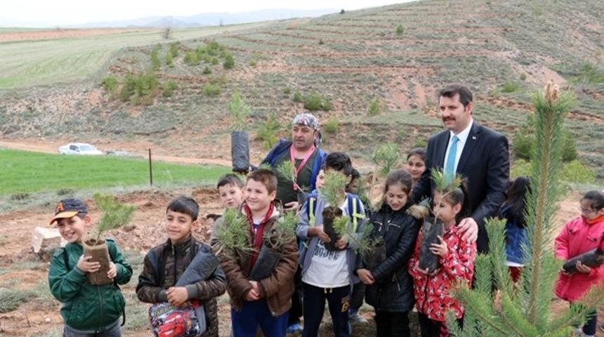 Her mezun i&ccedil;in yeni bir fidan