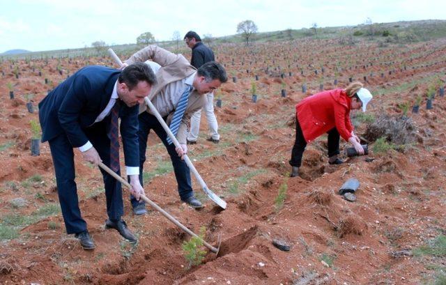 Her yenidoğan adına bir fidan dikildi