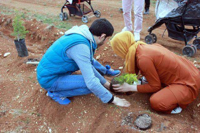 Her yenidoğan adına bir fidan dikildi