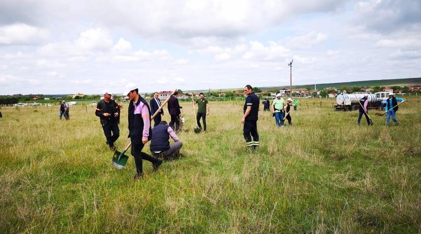 Ergene Belediyesinden Esenler Mahallesi&rsquo;ne ağa&ccedil; dikimi
