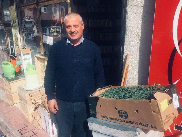 Akdağmadeni’nde tohum ve fide satışları başladı