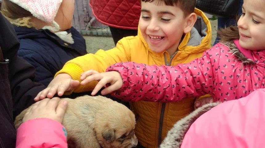 &Ccedil;orlu Belediyesi Ge&ccedil;ici Hayvan Bakımevi ile can dostlarının yanında yer alıyor