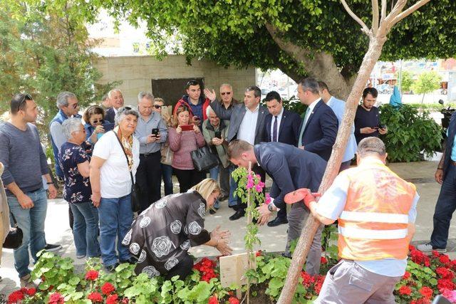 Bodrum’da Deniz ve arkadaşları için üç fidan dikildi