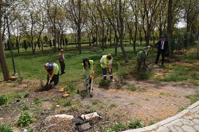 Dede Korkut parkına 360 fidan dikildi