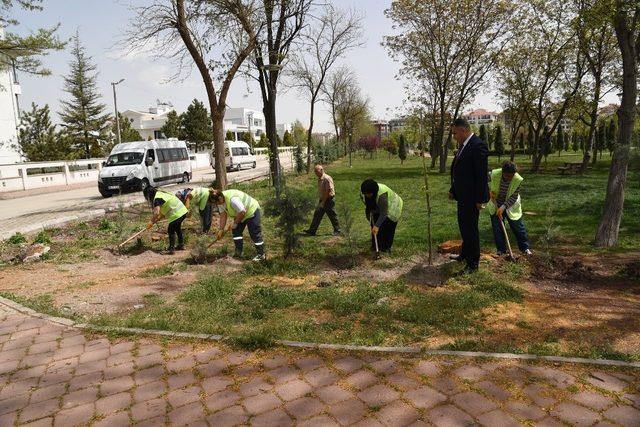 Dede Korkut parkına 360 fidan dikildi