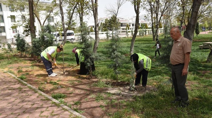Dede Korkut parkına 360 fidan dikildi