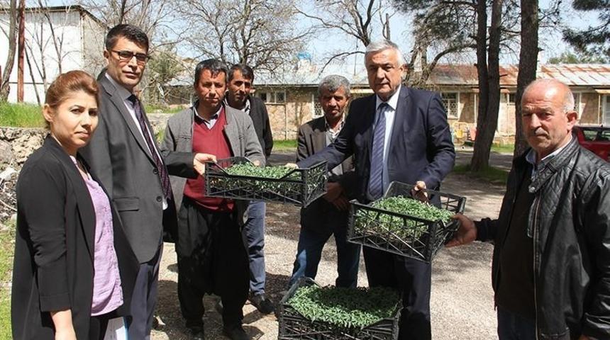 Tut&rsquo;da domates fidesi ve hıyar tohumu dağıtıldı