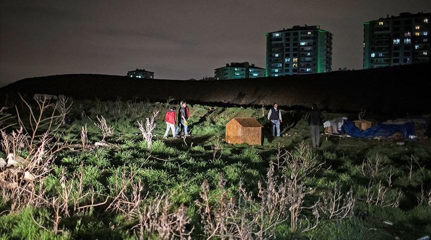 Ankara Batıkent'teki köpek katliamında istenen cezalar belli oldu