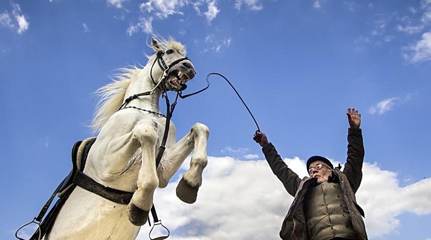 Şenliklerin en g&uuml;zel kareleri belli oldu
