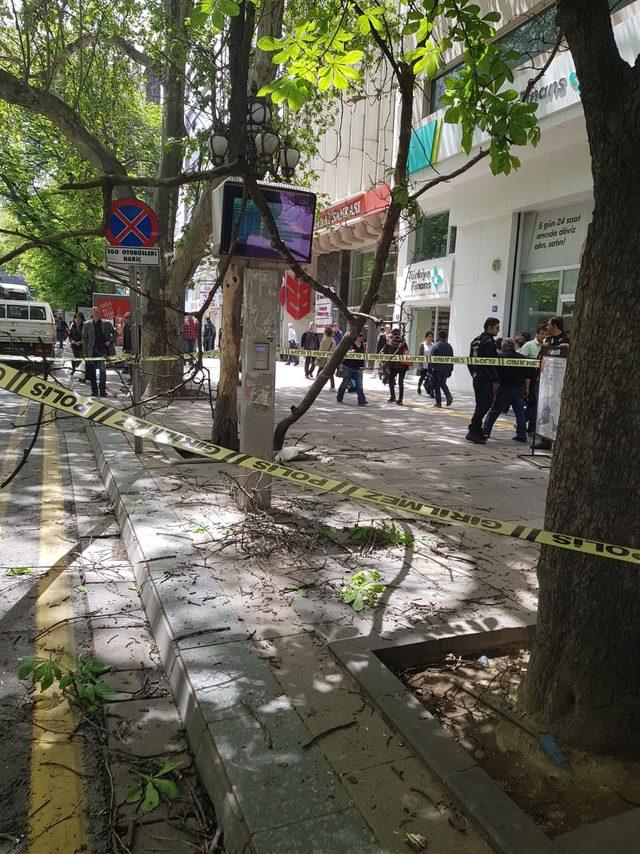 Kaldırımda kırılan ağaç dalı, emekli polisi yaraladı