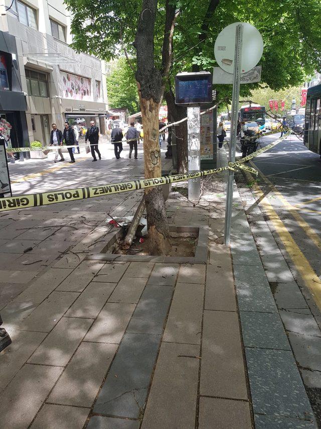 Kaldırımda kırılan ağaç dalı, emekli polisi yaraladı