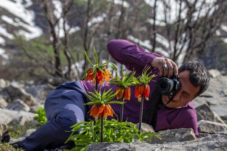 'Ağlayan gelin' fotoğraf tutkunlarının gözdesi oldu G2
