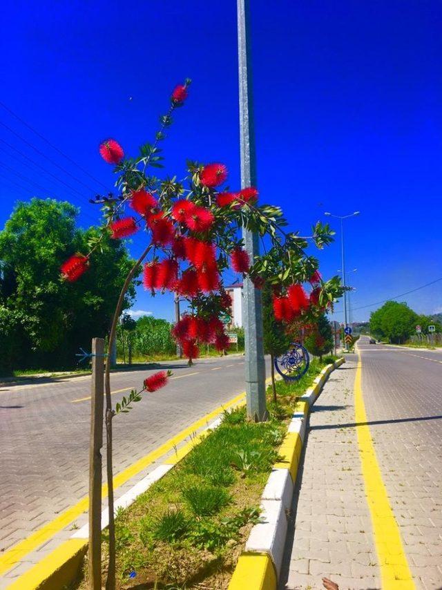 Nazilli’de araç ve yaya güvenliği sağlanıyor