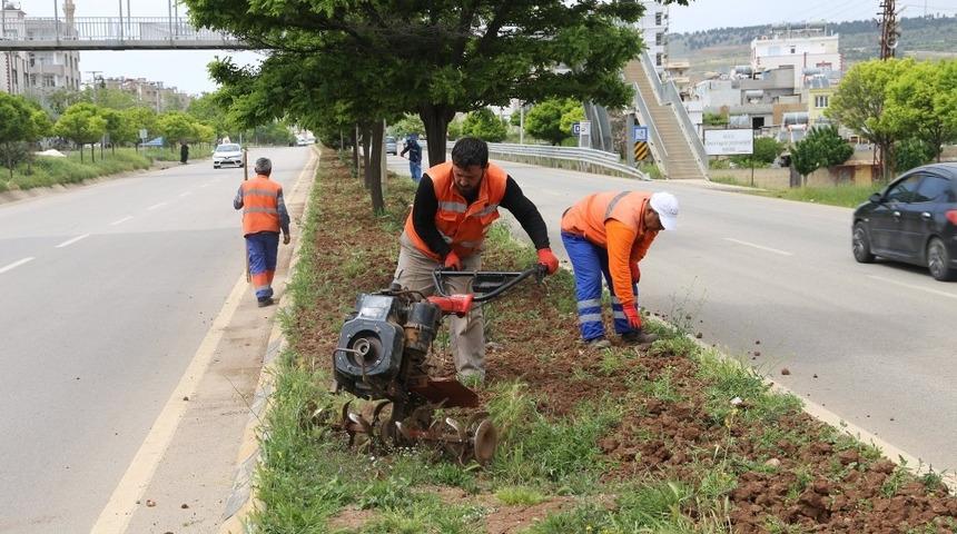 Kilis Belediyesi ot ile m&uuml;cadele başlattı