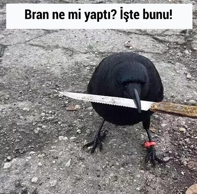 game-of-thrones-final-sezonu-3uncu-bolum-capsleri-13