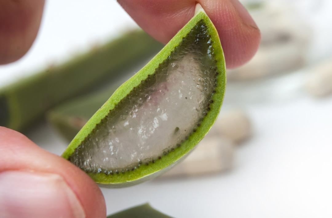 Aleo vera jelinden yaptığı parf&uuml;mle radyasyonu yok etti!