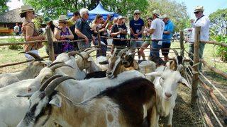 Uluslararası Küba Turizm Fuarı başladı 