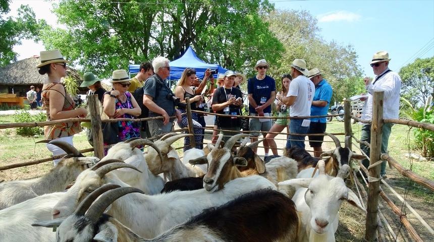 Uluslararası Küba Turizm Fuarı başladı 