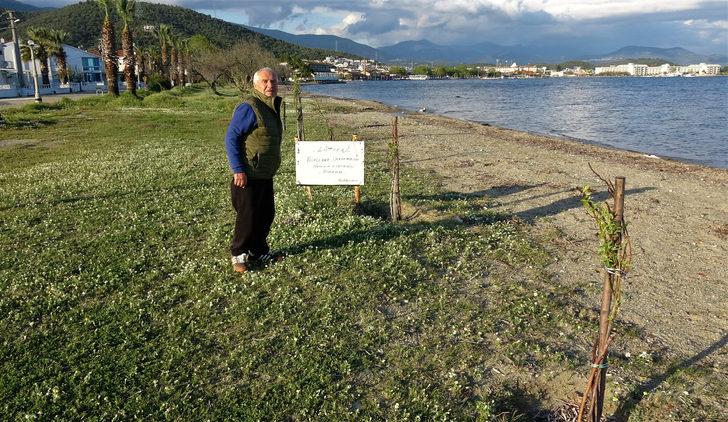 Almanya’dan gelip, iğde ağaçları için nöbet tutuyor G3