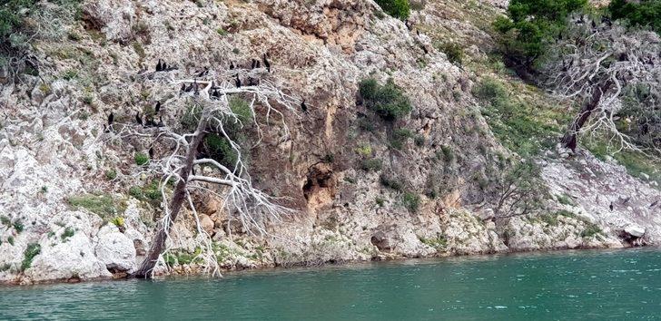 İç tekne turizminin yeni gözdesi; Arapapıştı Kanyonu G3