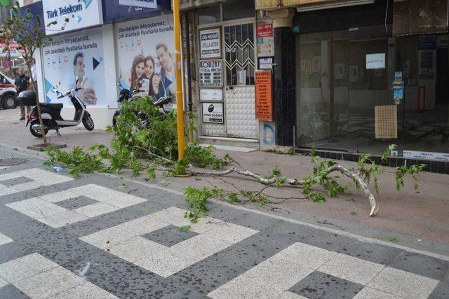 Fırtınada üzerine ağaç dalı düşen kadın yaralandı