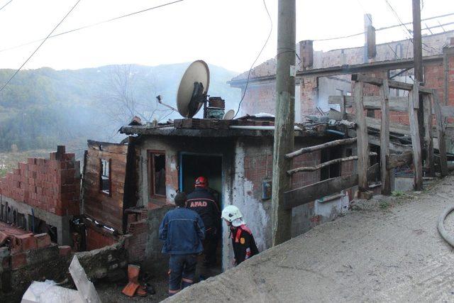 Yangında bulunan kemik parçalarının hayvanlara ait olduğu ortaya çıktı