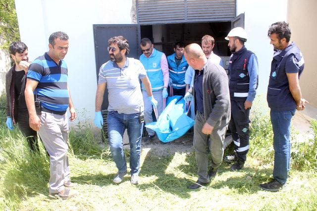 Hırsızlık için girdiği elektrik trafosunda öldü