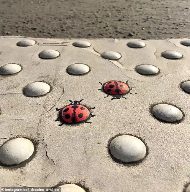 13118876-6994935-His_ladybirds_brighten_up_the_pavement_in_Lyon_France_and_provid-a-78_1557132183450