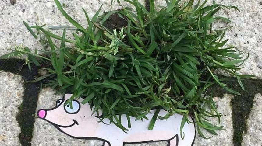 Kentsel d&ouml;n&uuml;ş&uuml;m! 3 yıldır şehrinin sokaklarını boyuyor