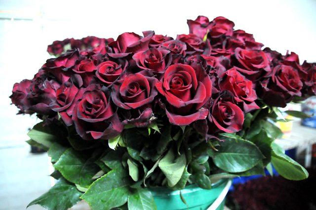 Yalova’da Anneler Günü öncesi çiçek satışı iki katına çıktı