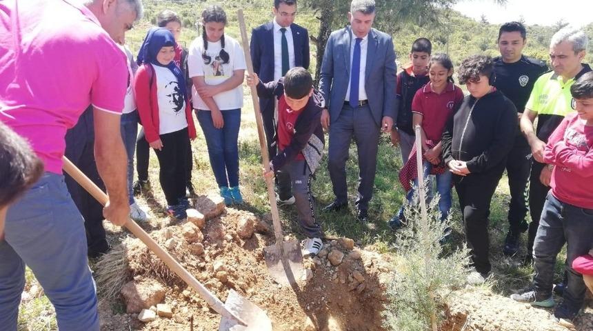 Kaş’ta Trafik Haftasında fidan dikildi