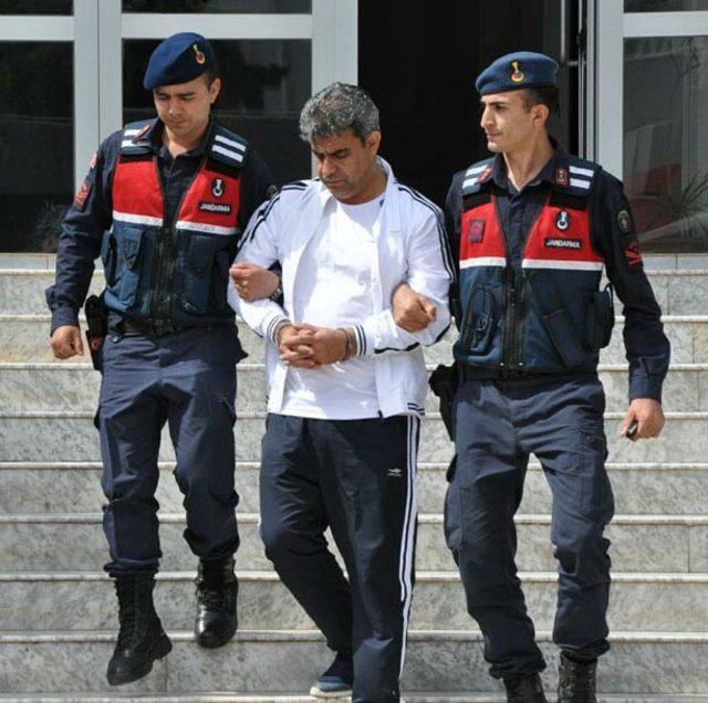 Didim'de 'Hazine' talanı operasyonu 1 yeni tutuklama