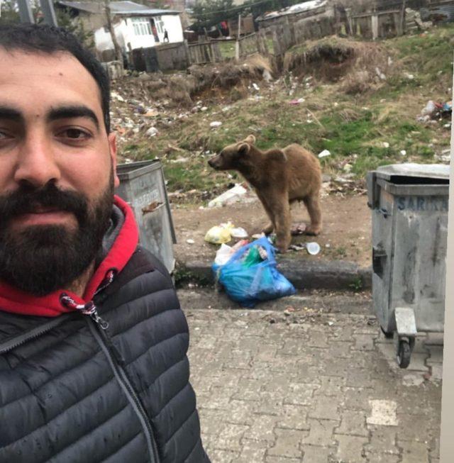 Sarıkamış’ta yemek kokusu yavru ayıyı sokağa indirdi