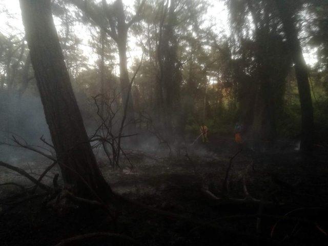 Datça’da 3 dönüm ormanlık alan kül oldu
