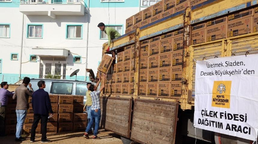 Konya B&uuml;y&uuml;kşehir Belediyesinden &ccedil;ilek &uuml;reticisine destek