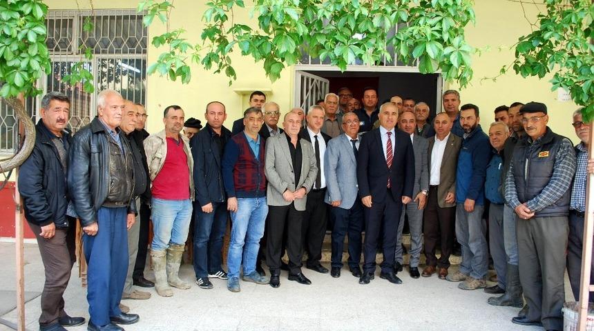 Kiraz &uuml;reticilerine kanadı noktalı sirke sineği uyarısı