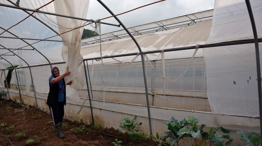Şiddetli r&uuml;zgar seralara zarar verdi