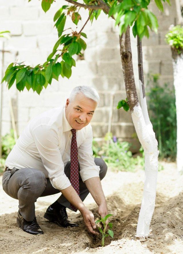 Saruhanlı’da Başkan Bilgin’den yerli tohum atağı